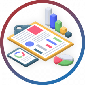 Corporation Profile Report