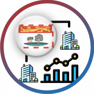 PEI Holding Company